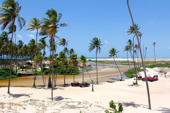 Barra De Punaú Tour - Departing From Natal - Tour Overview and Details