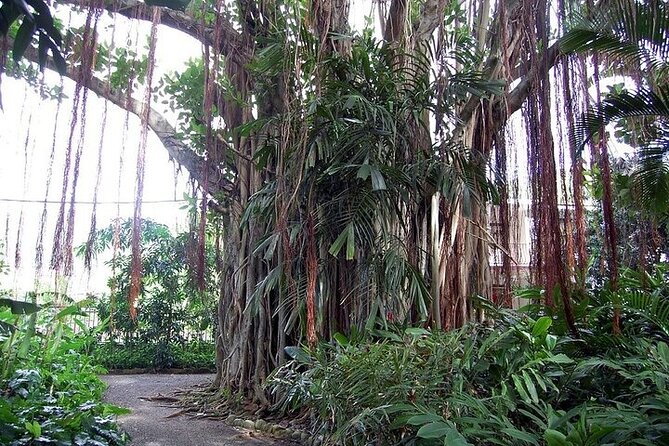 Beach Excursion in Tortola and Sightseeing in Fahie Hills - Excursion Highlights