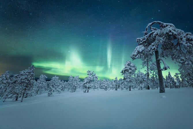 BEST 4-Day Aurora Viewing Tour From Whitehorse, Canada - Meeting and Pickup Details