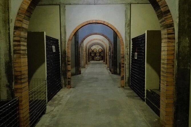 Best Flavors of Bairrada Winery Route, Half Day From Coimbra - Discovering Bairradas Wine-Making Heritage