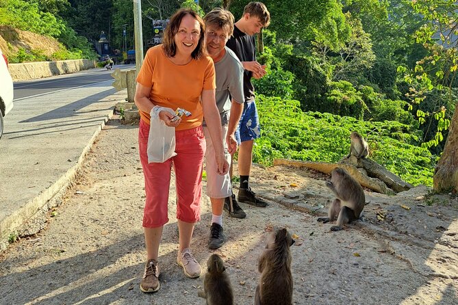 Best Lombok Rice Terrace Walking Tour With Waterfall & Monkey - Tour Highlights