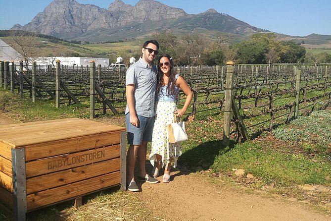 Best of the Winelands Private Tour - Tour Highlights