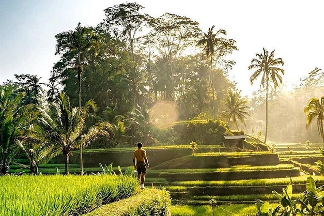 Best of Ubud - Full Day Tour FREE WI-FI - Pricing and Booking Details