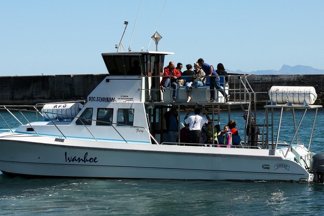 Big 5 Sea Safari in Walker Bay From Gansbaai - Pricing and Value