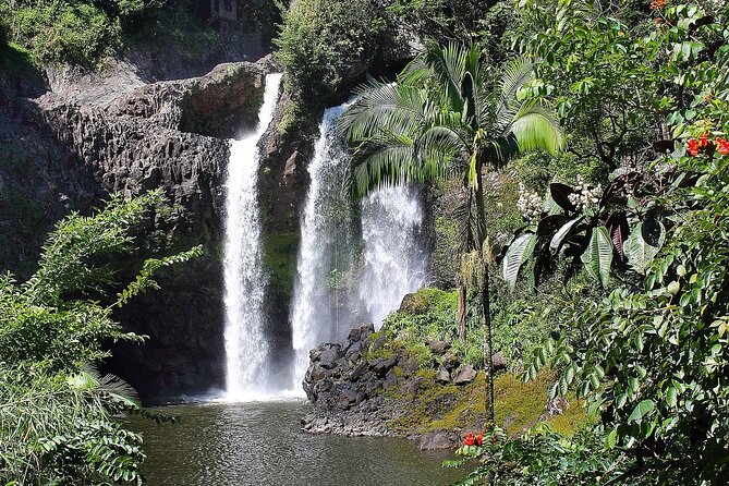 Big Island Private Waterfall and Hiking Tour  - Big Island of Hawaii - Tour Overview and Highlights