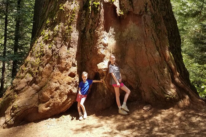 Big Trees Hike & Riverside Cookout Adventure - Pickup Points and Start Time