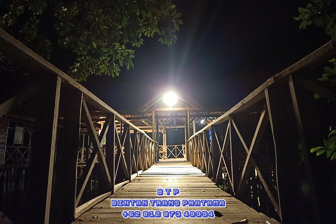Bintan Fireflies Guided Boat Trip With Private Hotel Transfers  - Lagoi - Overview of Bintan Fireflies Boat Trip