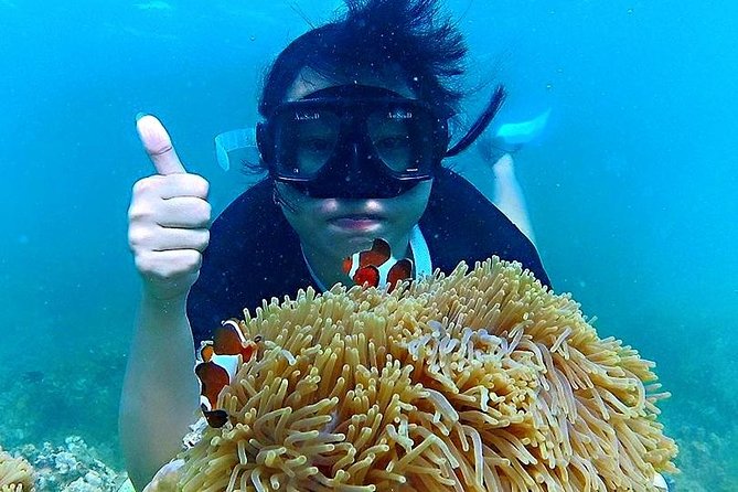 Bintan Snorkeling Tour - Traveler Photos and Reviews
