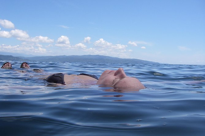 Bio-Luminescence and Sunset Kayak Tour - Tour Overview