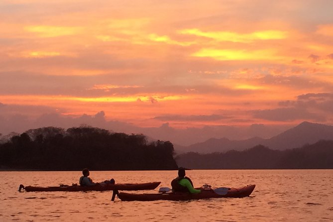 Bioluminescent Kayak Tour - What to Expect