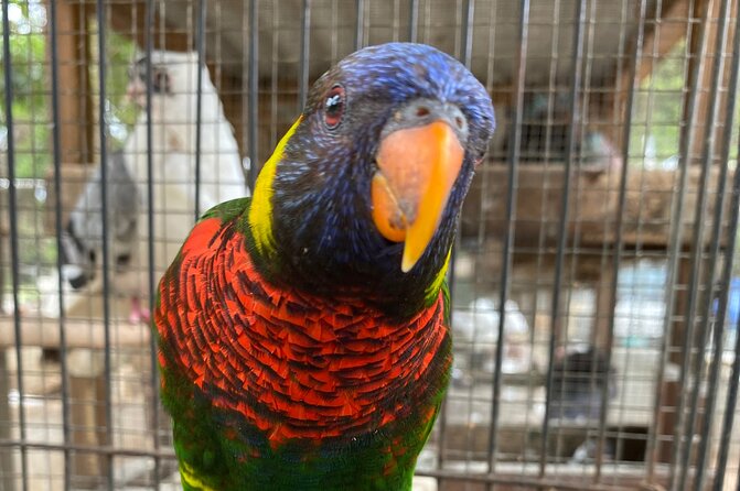 Bird Sanctuary and Montego Bay City Tour - Tour Itinerary