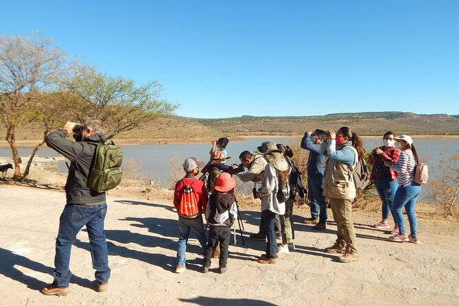 Bird Watching Tour in Aswan - Tour Highlights