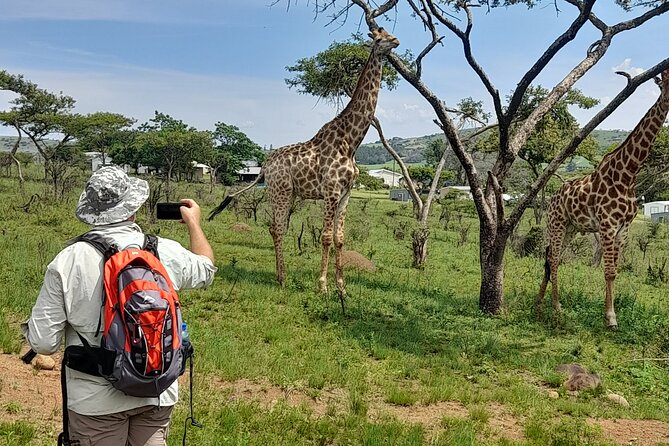 Bisley Valley Nature Reserve Hike With Giraffes and Zebras - Hiking Trail Overview