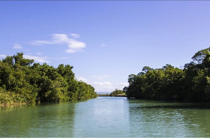 Black River Safari and Floyd Pelican Bar Tour From Montego Bay - Tour Highlights