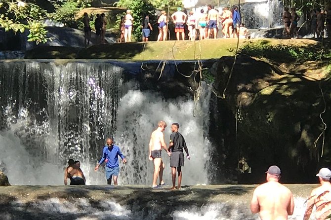Black River Safari & YS Falls (Montego Bay Pick Up) - Tour Highlights
