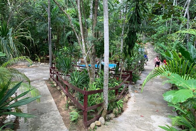 Blue Hole & Dunns River Falls With Lunch From Negril - Tour Highlights