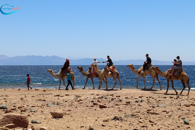Blue Hole in Dahab by Bus With Lunch and Camel Ride - Sharm El-Sheikh - Trip Highlights