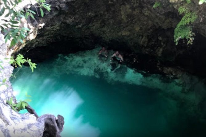 Blue Hole Mineral Spring and Herb Farm Private Tour - Tour Highlights