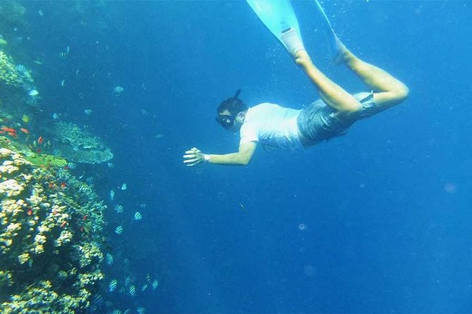 Blue Lagoon Bali Snorkeling Activities All Inclusive - Pricing and Booking Options