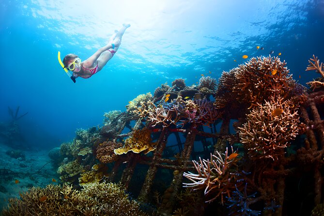 Blue Lagoon Snorkeling and Uluwatu Sunset Tour - Tour Highlights