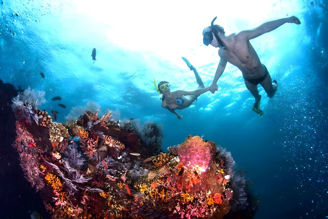 Blue Lagoon Snorkeling - Bali Best Snorkeling Site - Blue Lagoon Snorkeling Trip Overview