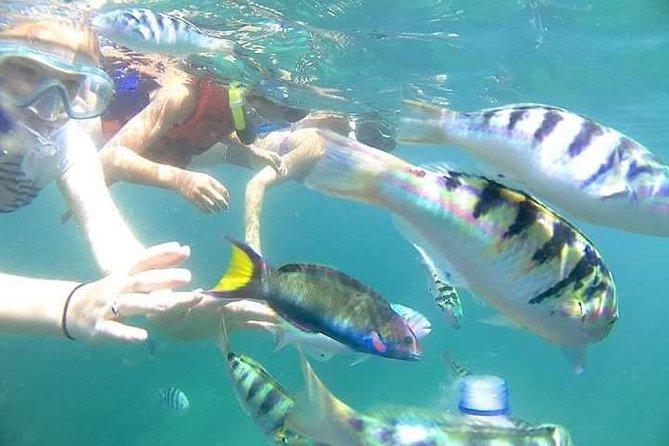 Blue Lagoon Snorkeling Lempuyang Temple Private Guided Tour - Pricing and Booking Details