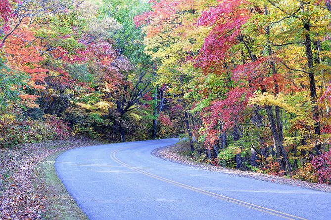 Blue Ridge Parkway Waterfalls: Hiking Tour From Asheville - Tour Highlights