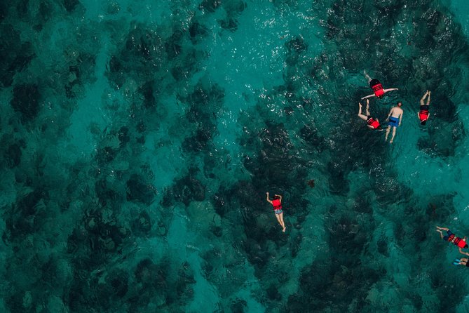 Boat and Snorkeling in West End (Blue Channel, The Aquarium, Turtle Crossing) - Price and Booking Information