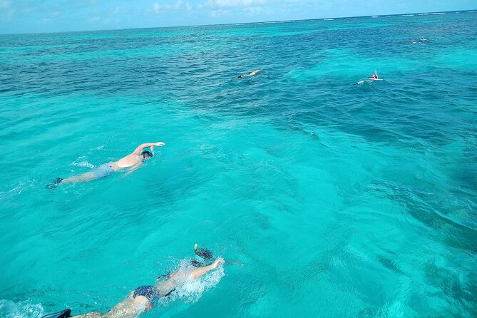 Boat Trip in the Great All-Inclusive Marine Cul-De-Sac - All-Inclusive Amenities