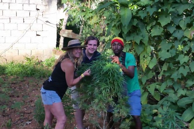 Bob Marleys Nine Mile & Dunns River Falls Tour: Transportation & Ticket - Highlights of the Tour Experience