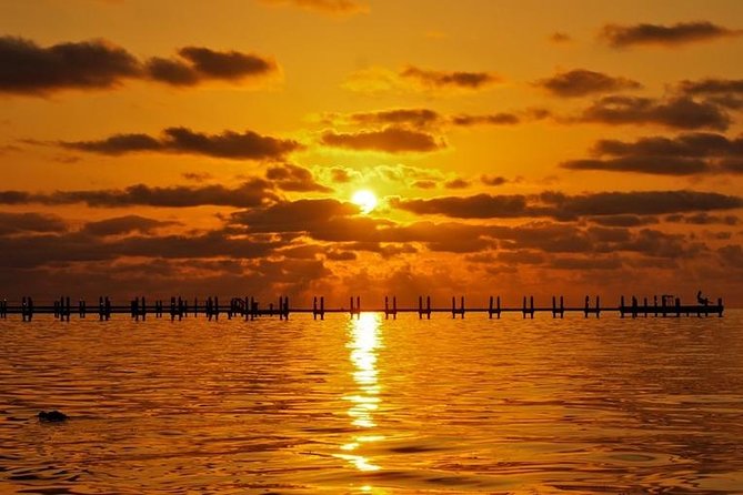 Boca Grande Inshore Fishing Charter - Pricing and Booking Details
