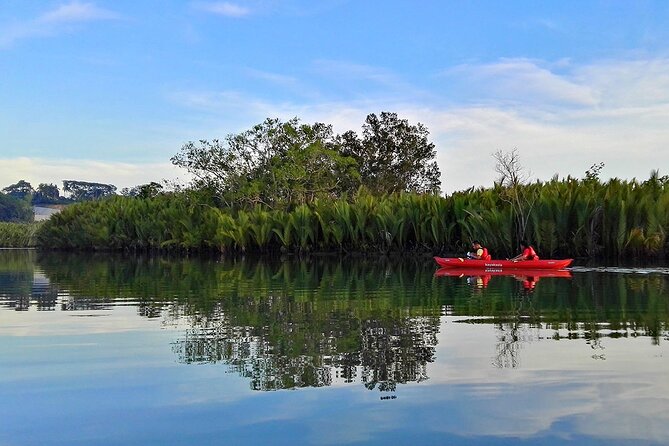 Bohol: Firefly Watching Cruise or Kayaking - Tour Overview