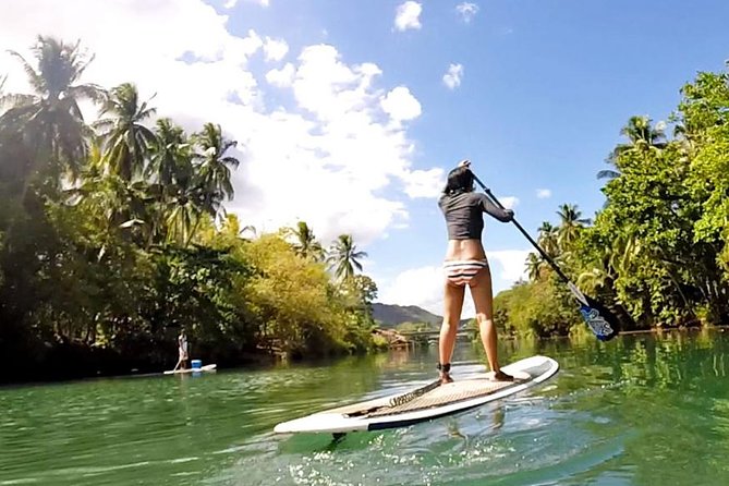 Bohol Full Day Abatan River Stand Up Paddle With Lunch - Tour Overview