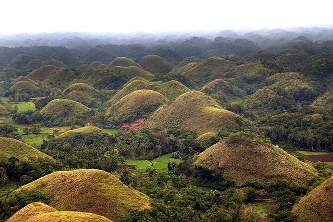 Bohol in a Day Tour From Cebu - Itinerary Highlights