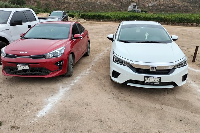 Border & Tijuana Airport Transfer to Valle De Guadalupe, Ensenada - Service Details