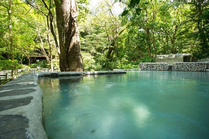Borinquen Horseback Riding and Zipline Canopy Tour With Lunch  - Playa Flamingo - Tour Details and Inclusions