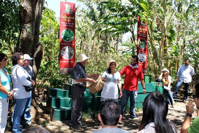 Britt Coffee Tour From San Jose With Lunch. Private Tour - Visitor Experiences