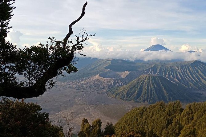 Bromo and Ijen Tour - Tour Highlights