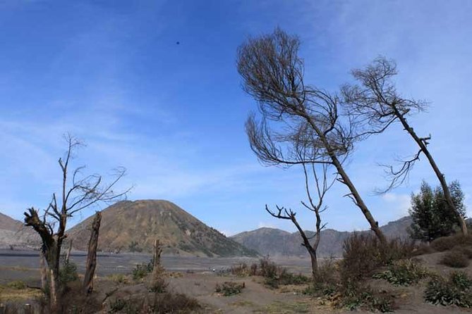 Bromo Panorama Tour to Avoid the Crowds - Start Malang // 1 Day Tour - Tour Highlights