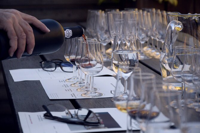 Buenos Aires: Small-Group Wine-Tasting Experience - Experience Details