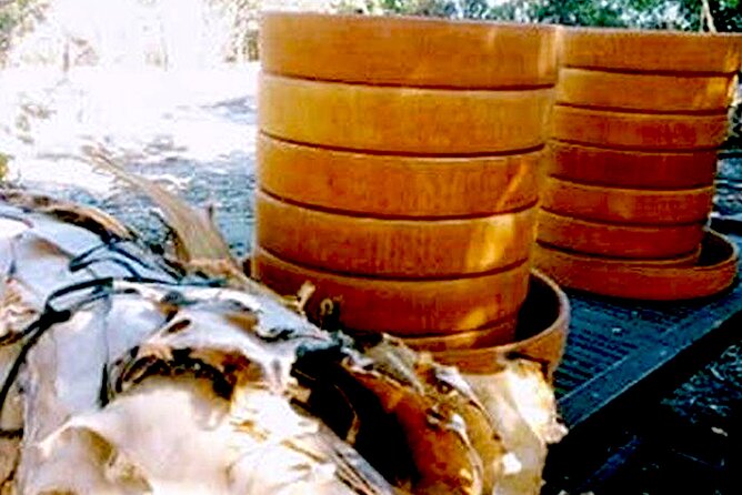 Build & Donate African Musical Instruments Workshop - Pricing and Booking Details