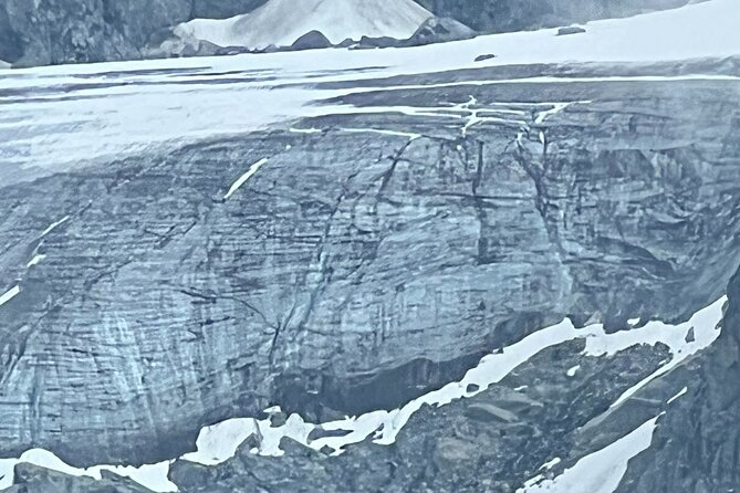 Byron Glacier Walk and Wildlife Viewing Experience - Provider Information