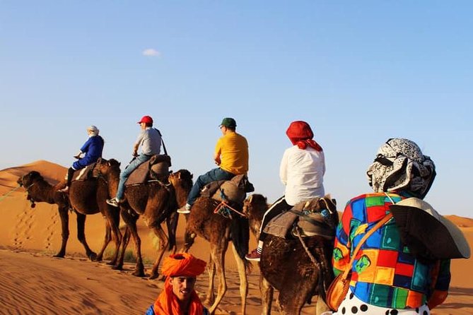 Camel Ride Experience - What to Expect
