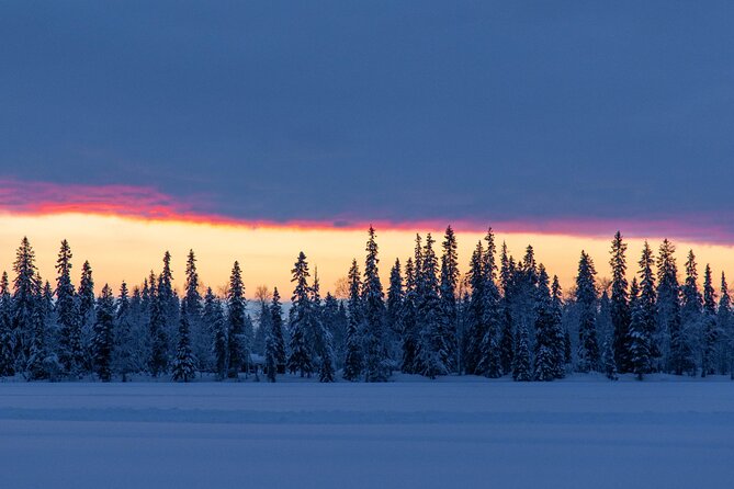 Campfire Tour With Huskies and Dinner - Tour Details and Requirements