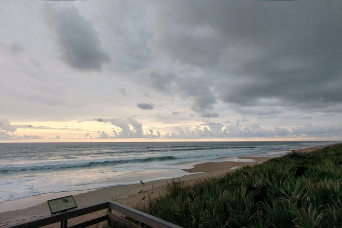 Canaveral National Seashore Wildlife Excursion - Wildlife Encounter Opportunities