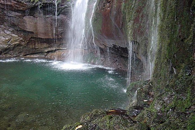 Canico Small-Group Rabacal 25 Fountains Hike  - Funchal - Excursion Details