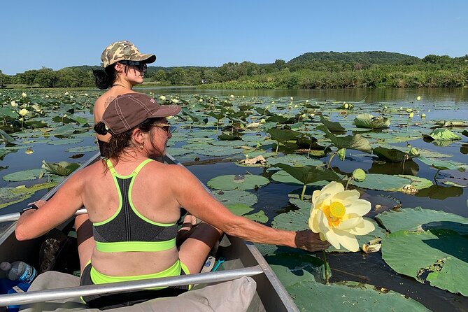 Canoe/Kayak Tour of Mississippi Wildlife & Fish Refuge - Overview and Booking Details
