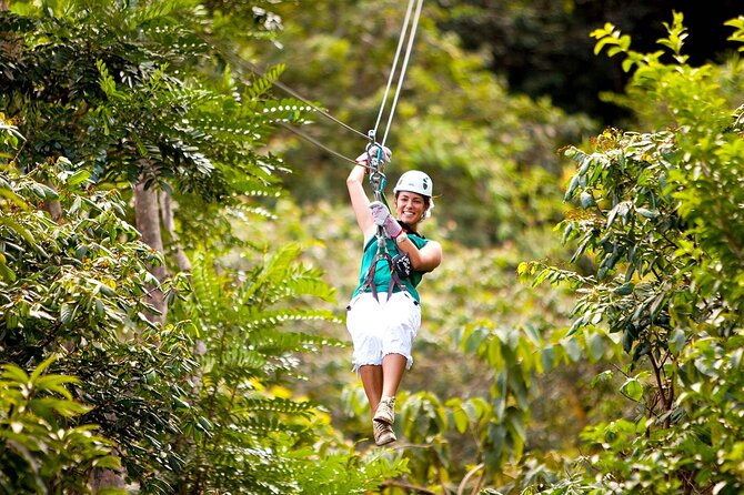 Canopy Countryside Private Day Trip Tour From Montego Bay - Tour Overview