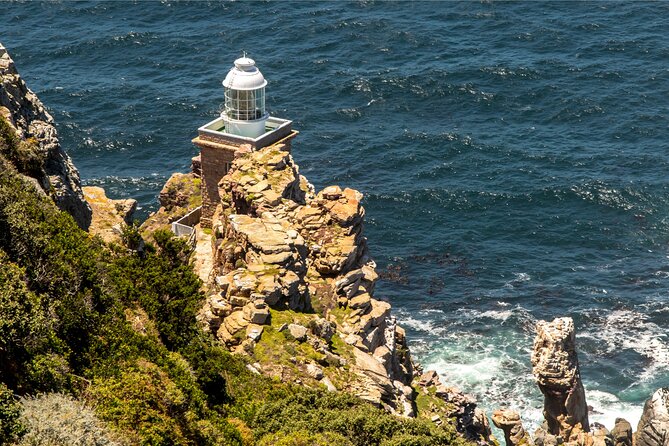 Cape of Good Hope & Penguins Full Day Tour From (The Mother City) Cape Town. - Tour Highlights