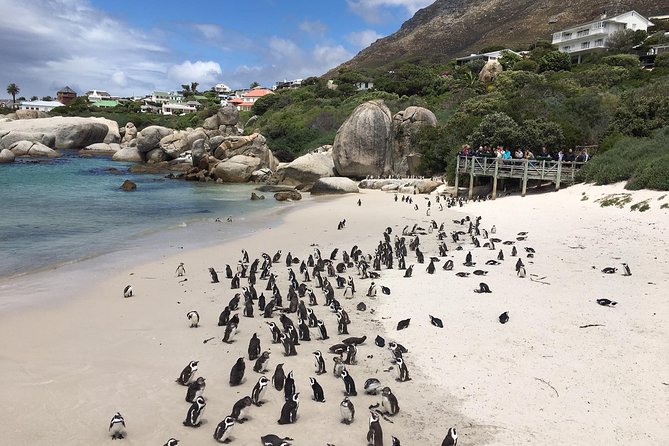 Cape Peninsula E-bike Cycle and Shuttle Combo Private Tour - Tour Duration and Pickup Information
